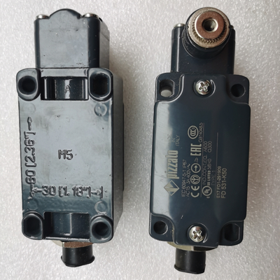 60117974 Paletli Vinç Yedek Parçaları GY-S-1NO+1NC-75 LimitSwitch