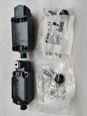 60117974 Paletli Vinç Yedek Parçaları GY-S-1NO+1NC-75 LimitSwitch